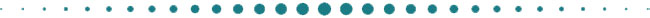 productDynamic20-0.jpg